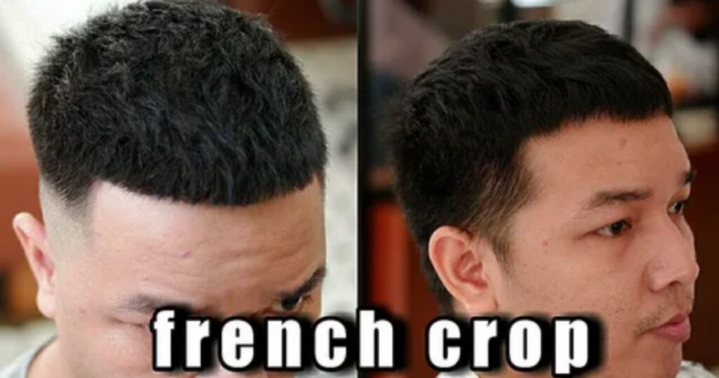 French Crop + Taper