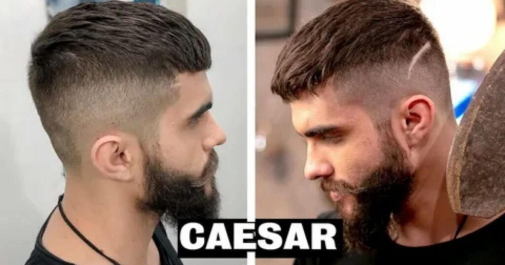 Caesar Cut