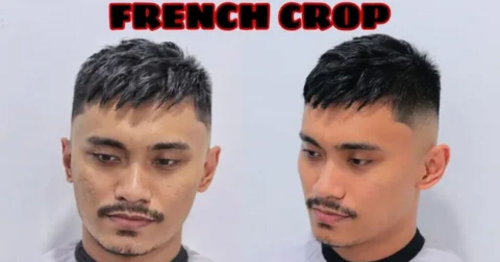 French Crop