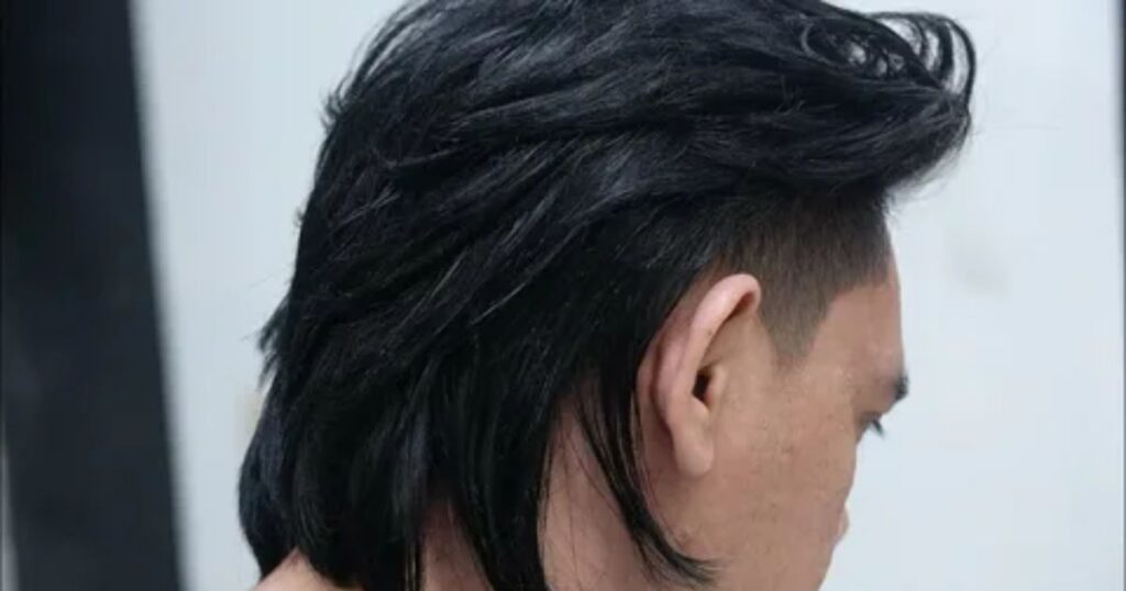 Korean Mullet