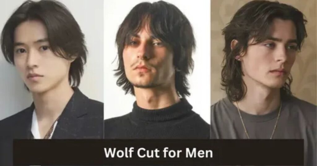 Wolf Cut Men